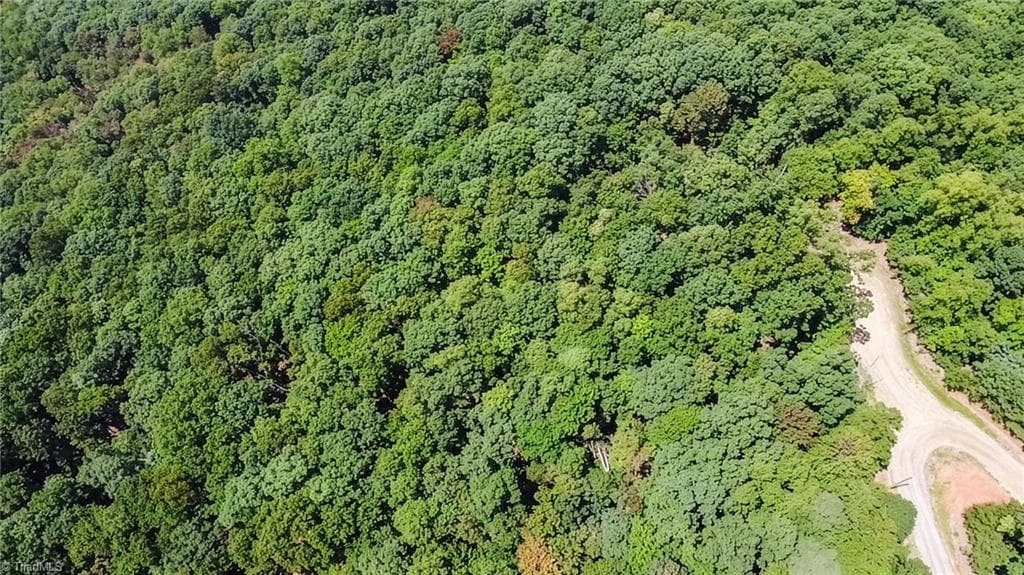 Unimproved Land at TBD Timber Ridge Road, McGrady NC 28649, McGrady, photo 22 of 23