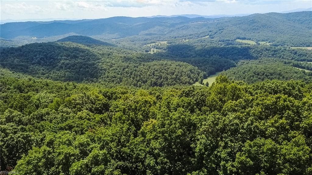 Unimproved Land at TBD Timber Ridge Road, McGrady NC 28649, McGrady, photo 3 of 23