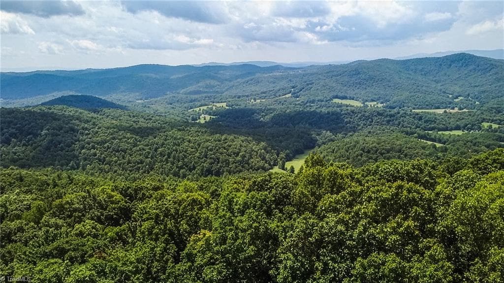 TBD Timber Ridge Road, McGrady NC 28649