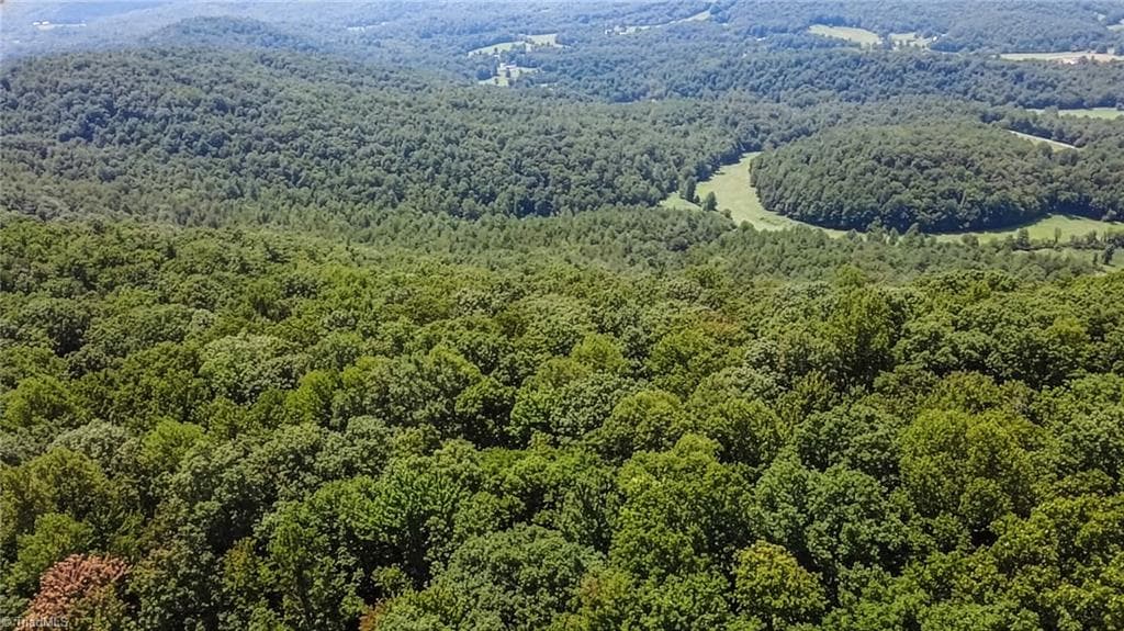 Unimproved Land at TBD Timber Ridge Road, McGrady NC 28649, McGrady, photo 20 of 23
