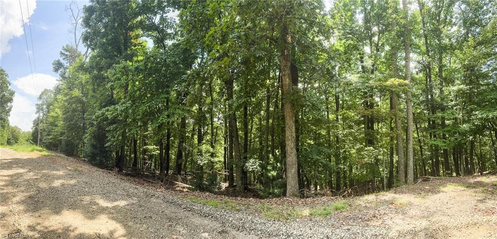 Unimproved Land at TBD Timber Ridge Road, McGrady NC 28649, McGrady, photo 9 of 23
