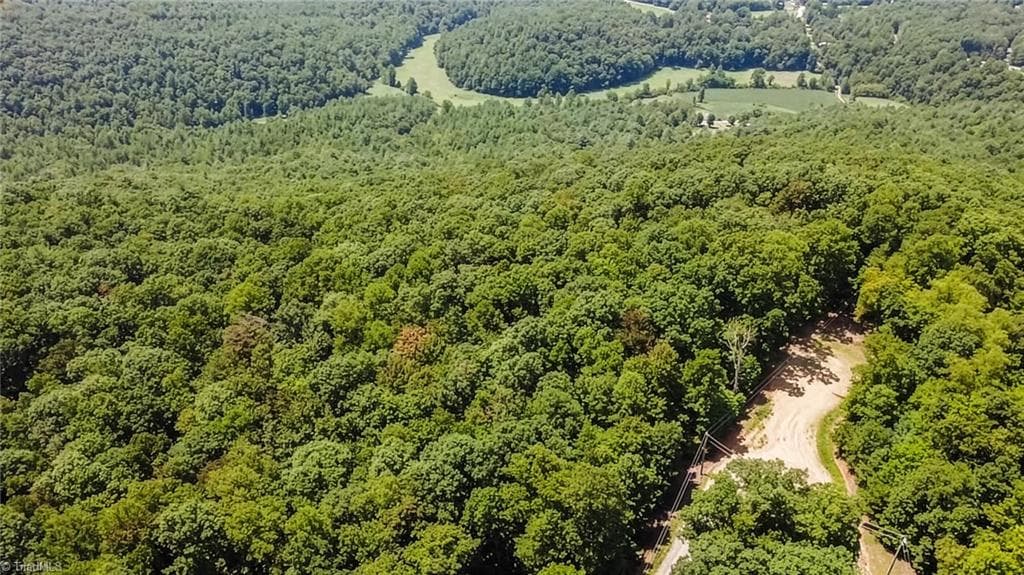 Unimproved Land at TBD Timber Ridge Road, McGrady NC 28649, McGrady, photo 21 of 23