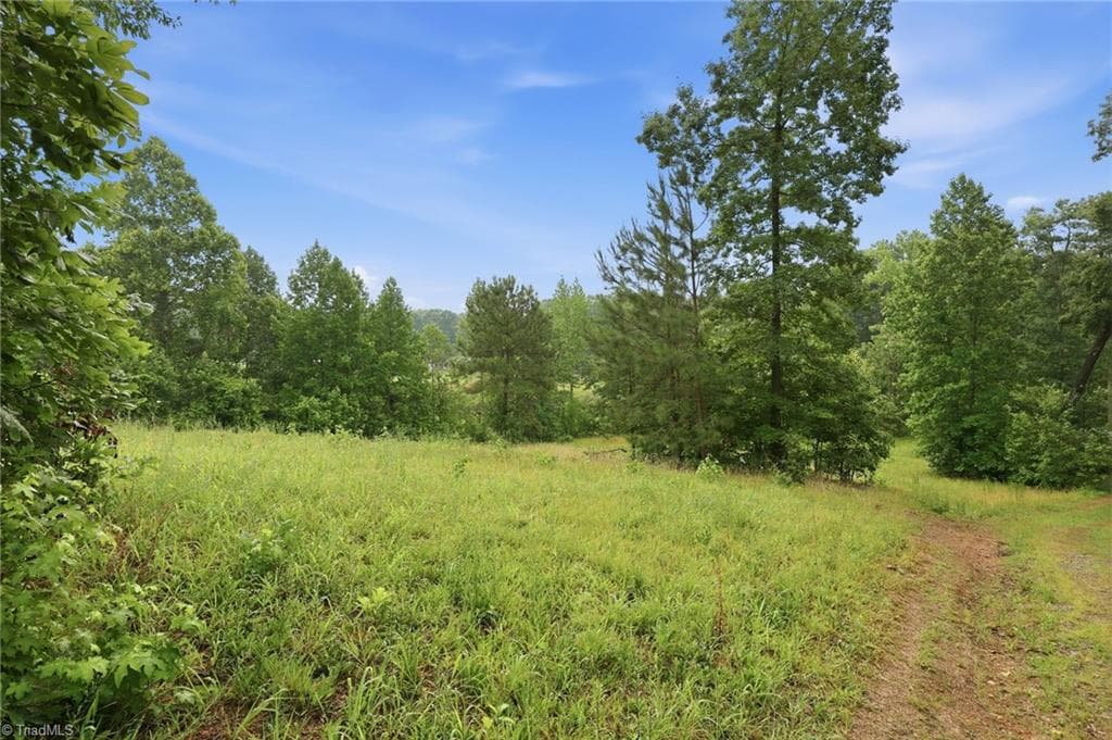 Remarks at 23146 Nc Highway 109, Denton NC 27239, photo 13 of 18