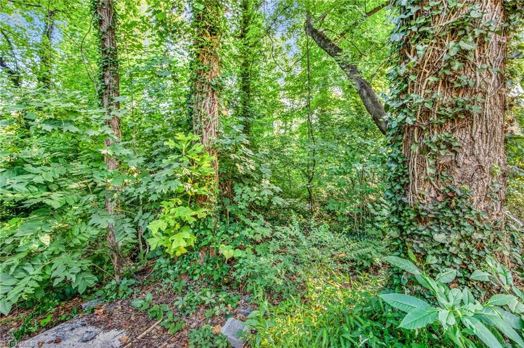 Stick/Site Built at 4839 Merrimac Street # 2, Winston-Salem NC 27105, Winston-Salem, photo 14 of 19