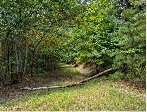 Single Family Residence at 000 Price Road, Moravian Falls NC 28654, photo 6 of 9
