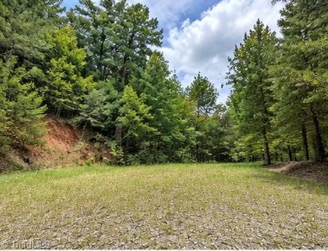 Single Family Residence at 000 Price Road, Moravian Falls NC 28654, photo 7 of 9