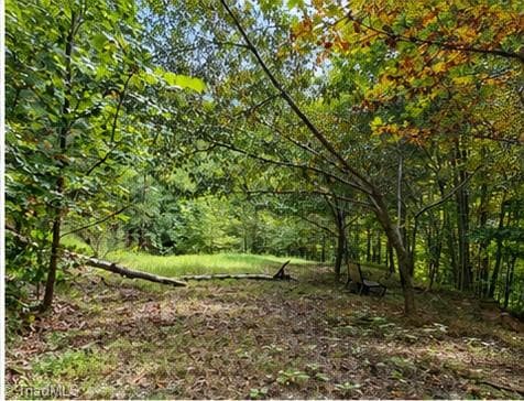 Single Family Residence at 000 Price Road, Moravian Falls NC 28654, photo 5 of 9