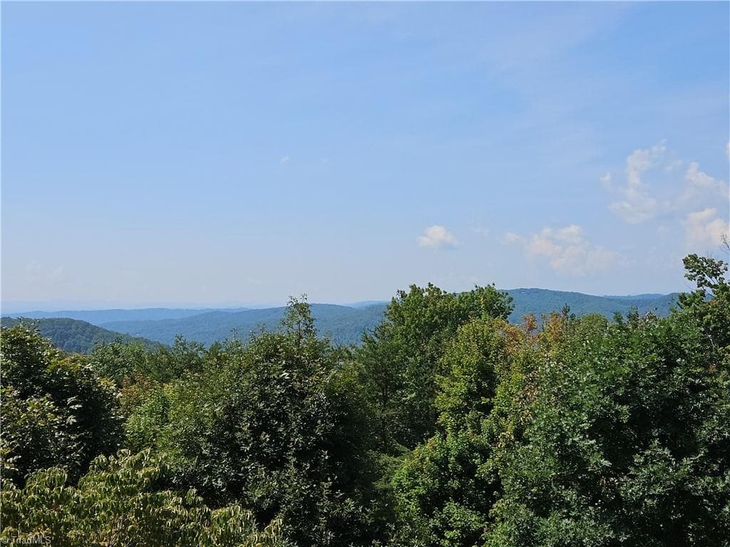Stick/Site Built at 184 Grandview Circle, Traphill NC 28685, photo 5 of 48