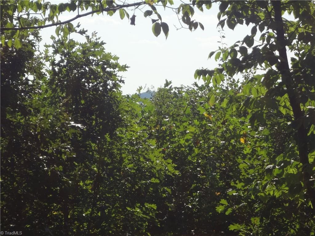 Unimproved Land at 0 Garner Road, Denton NC 27239, photo 6 of 6