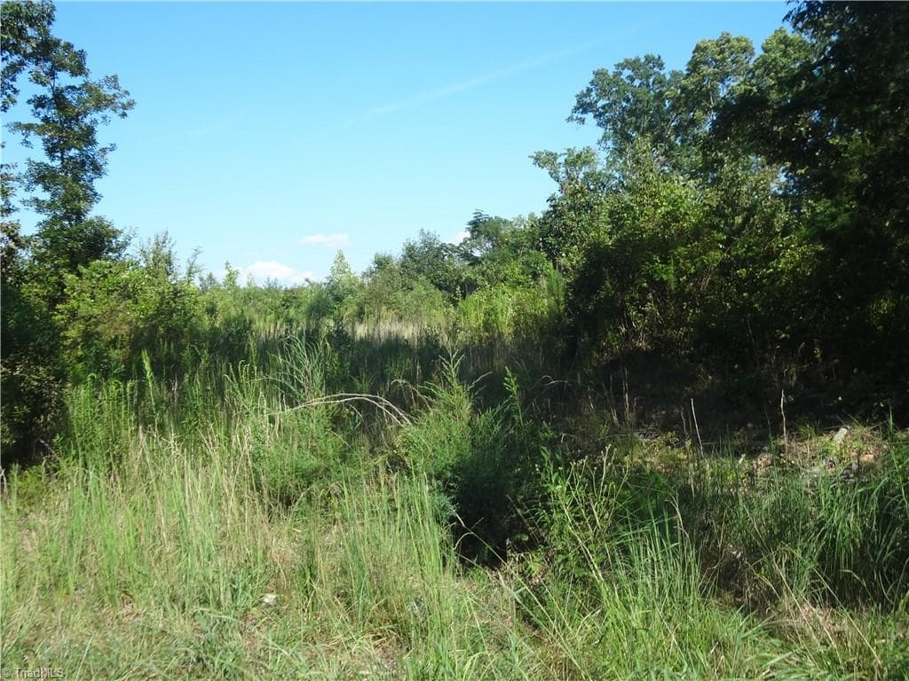 Unimproved Land at 0 Garner Road, Denton NC 27239, photo 4 of 6