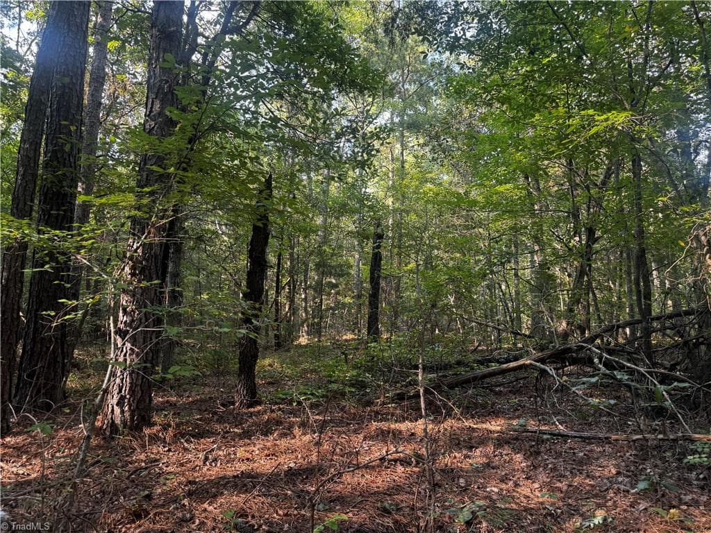 00 Sheffield Road, Seagrove NC 27341