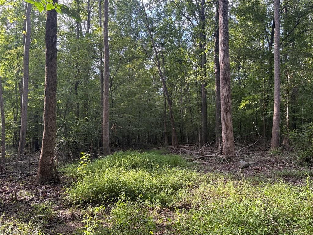 Unimproved Land at 7149 Nature Road, Liberty NC 27298, photo 2 of 7