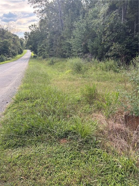 Unimproved Land at 7149 Nature Road, Liberty NC 27298, photo 7 of 7
