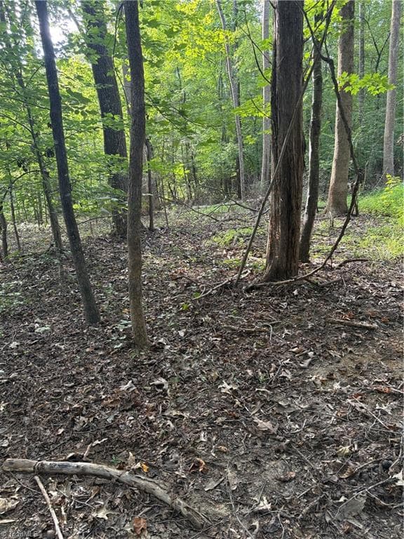 Unimproved Land at 7149 Nature Road, Liberty NC 27298, photo 3 of 7