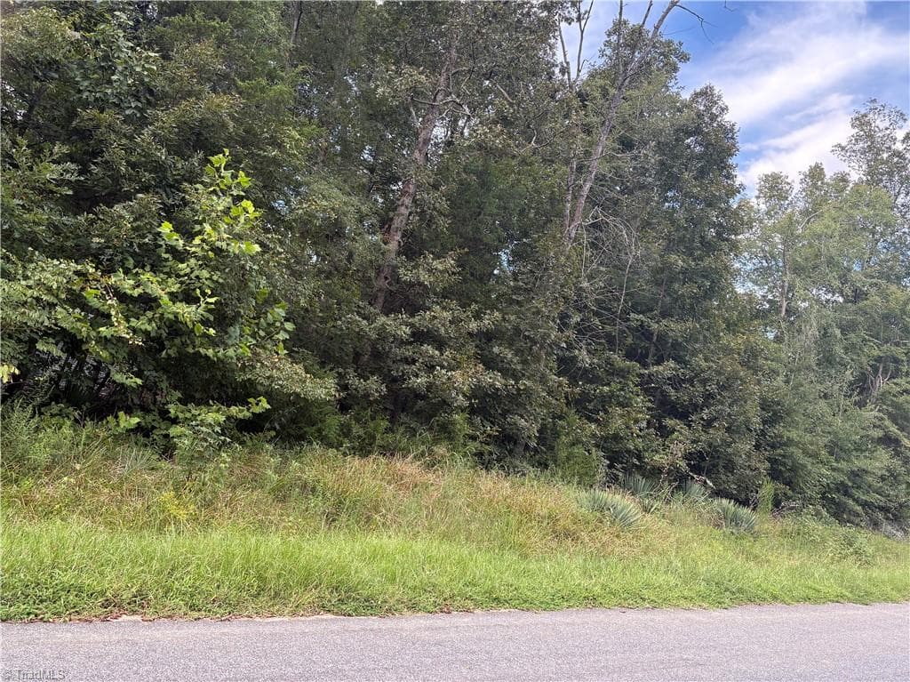 7149 Nature Road, Liberty NC 27298