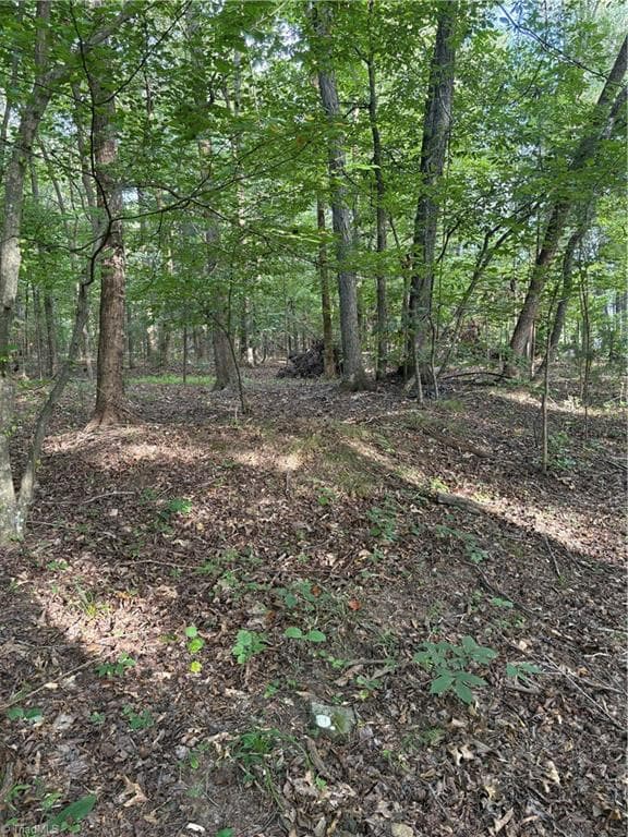 Unimproved Land at 7149 Nature Road, Liberty NC 27298, photo 5 of 7