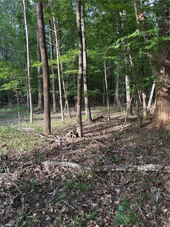 Unimproved Land at 7149 Nature Road, Liberty NC 27298, photo 4 of 7