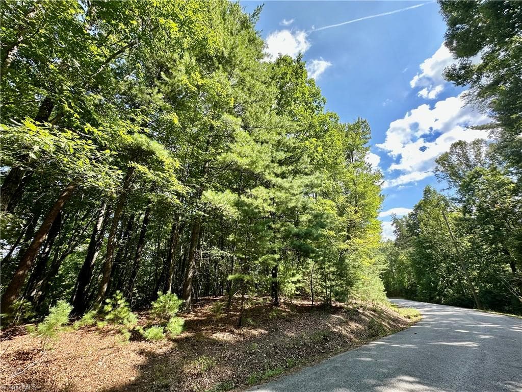 Single Family Residence at LOT 2 Sutters Ridge Road, McGrady NC 28649, photo 2 of 14