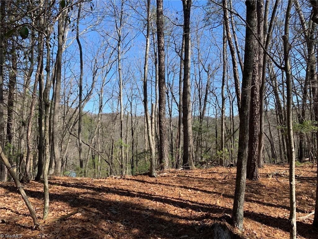 Single Family Residence at LOT 2 Sutters Ridge Road, McGrady NC 28649, photo 6 of 14
