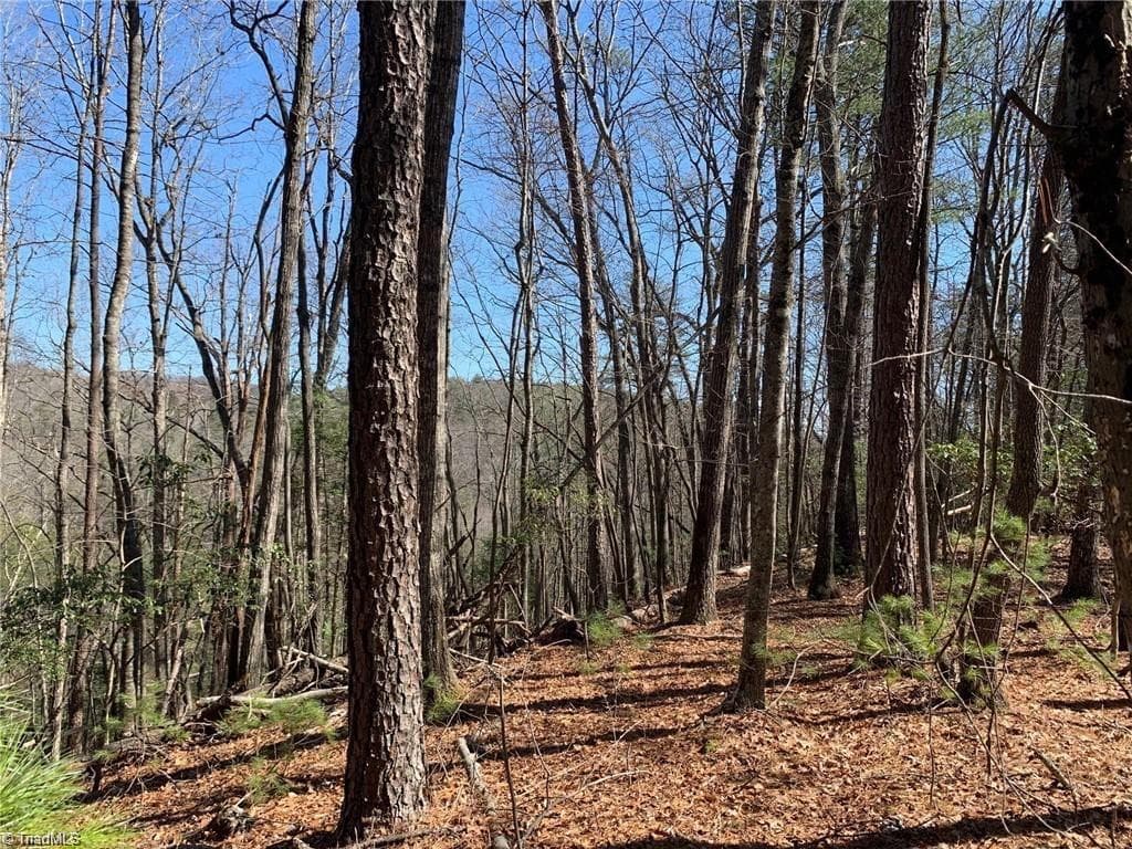 Single Family Residence at LOT 2 Sutters Ridge Road, McGrady NC 28649, photo 7 of 14