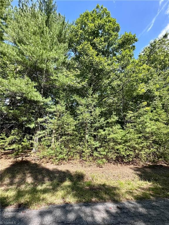 Single Family Residence at LOT 2 Sutters Ridge Road, McGrady NC 28649, photo 5 of 14