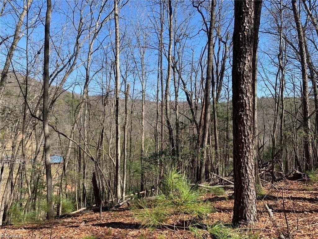 Single Family Residence at LOT 2 Sutters Ridge Road, McGrady NC 28649, photo 8 of 14