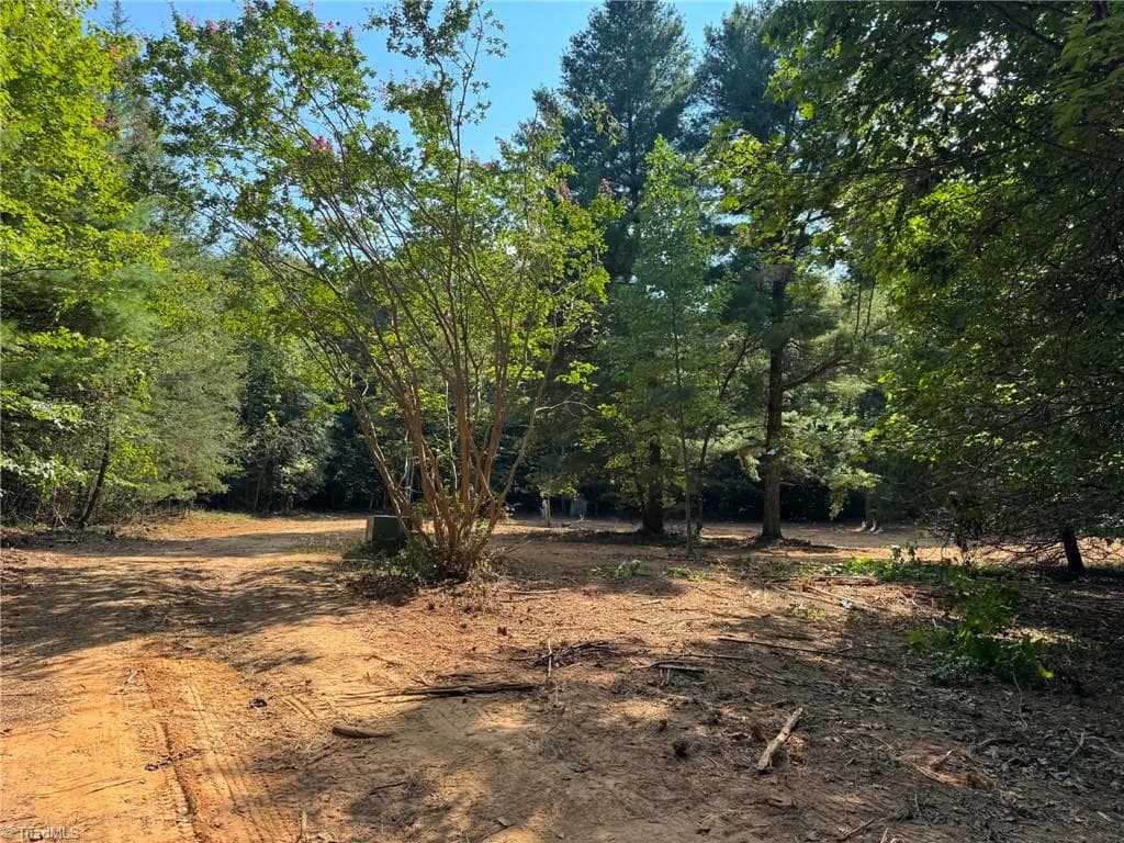 1036 Antler Run Drive, Jonesville NC 28642