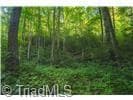 Unimproved Land at 4157 Kirby Mountain Road, Lenoir NC 28645, Lenoir, photo 13 of 23