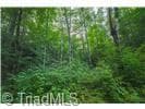 Unimproved Land at 4157 Kirby Mountain Road, Lenoir NC 28645, Lenoir, photo 15 of 23