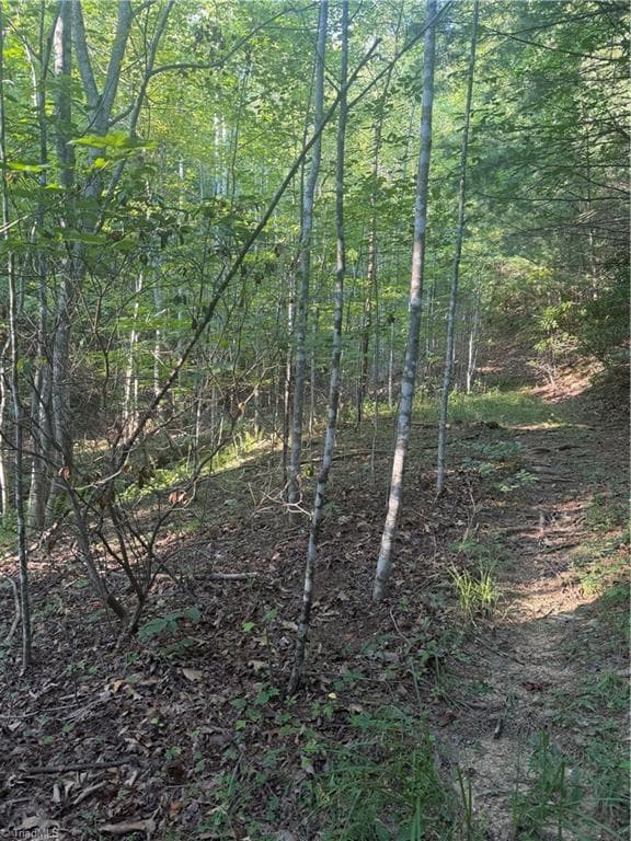 Unimproved Land at 0 W US Highway 421, Purlear NC 28665, photo 23 of 29