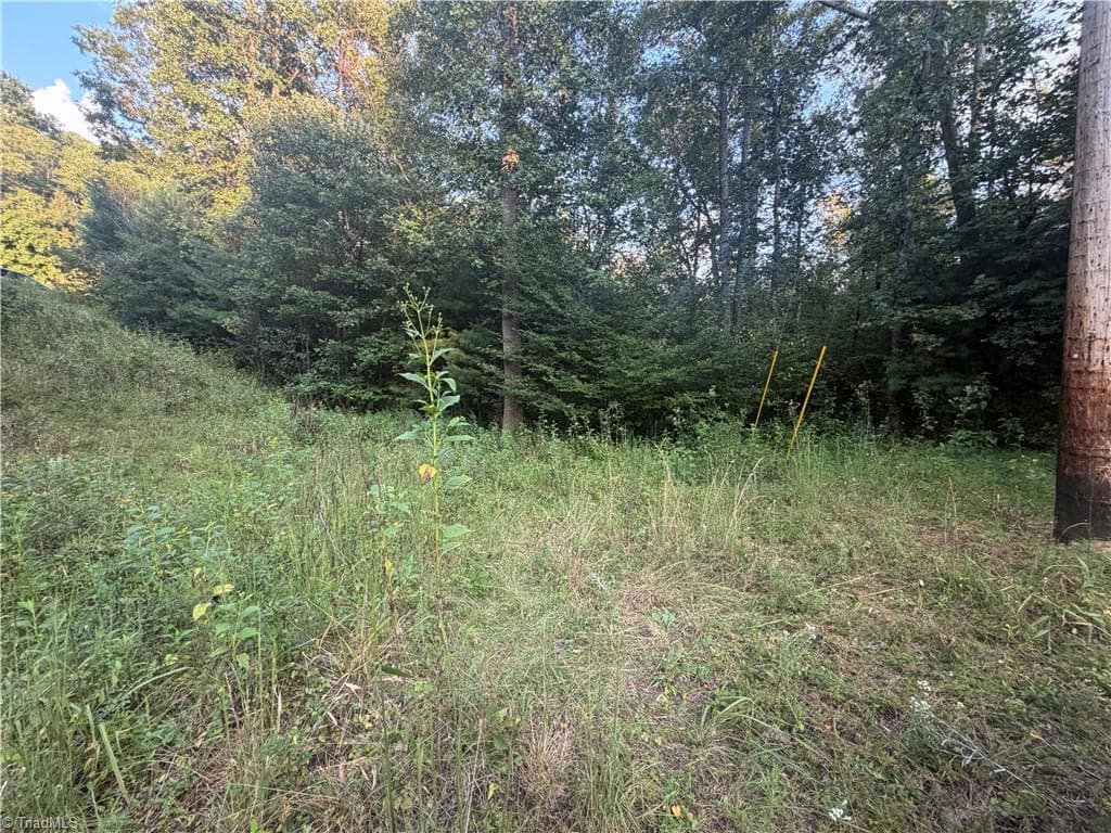 Unimproved Land at 0 W US Highway 421, Purlear NC 28665, photo 6 of 29