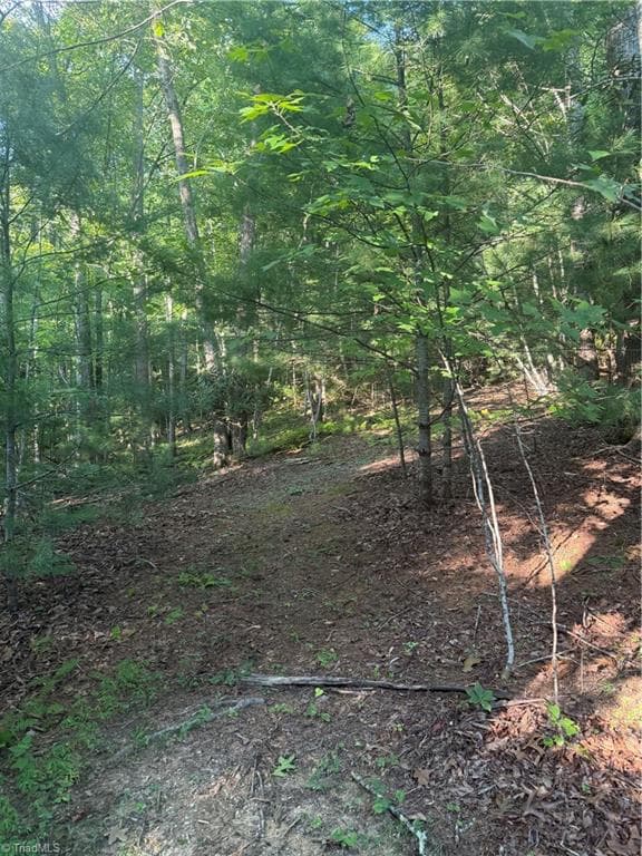 Unimproved Land at 0 W US Highway 421, Purlear NC 28665, photo 17 of 29