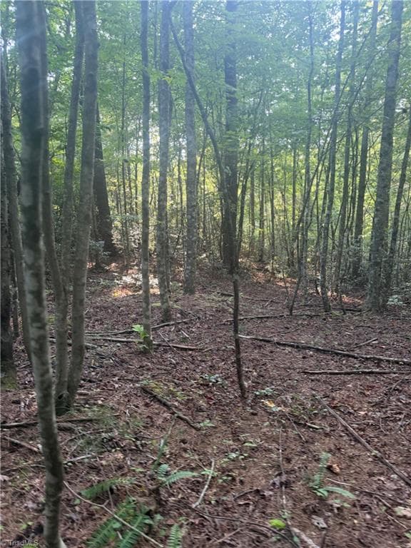 Unimproved Land at 0 W US Highway 421, Purlear NC 28665, photo 16 of 29