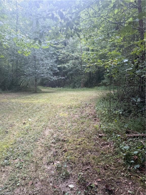 Unimproved Land at 0 W US Highway 421, Purlear NC 28665, photo 12 of 29
