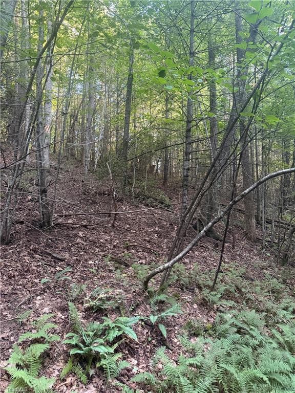 Unimproved Land at 0 W US Highway 421, Purlear NC 28665, photo 26 of 29