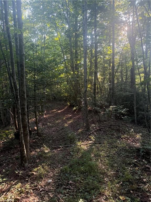 Unimproved Land at 0 W US Highway 421, Purlear NC 28665, photo 22 of 29