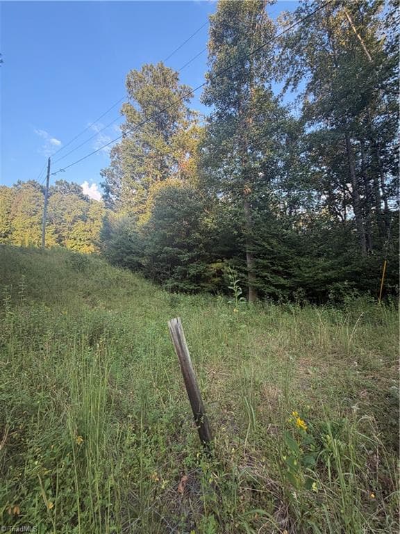 Unimproved Land at 0 W US Highway 421, Purlear NC 28665, photo 7 of 29