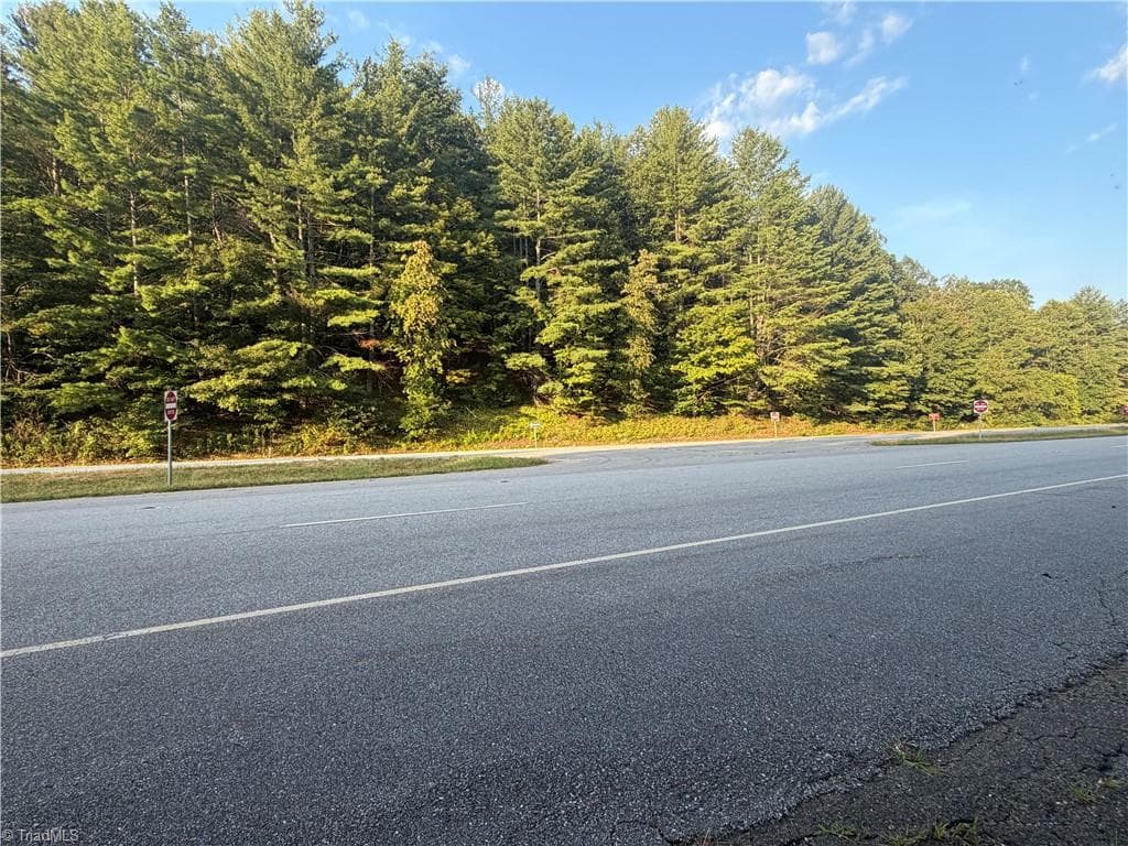 0 W US Highway 421, Purlear NC 28665