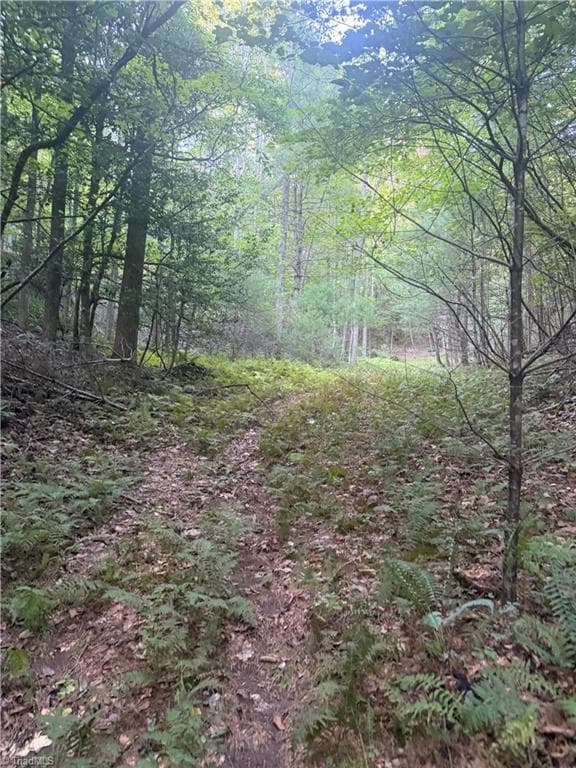 Unimproved Land at 0 W US Highway 421, Purlear NC 28665, photo 28 of 29