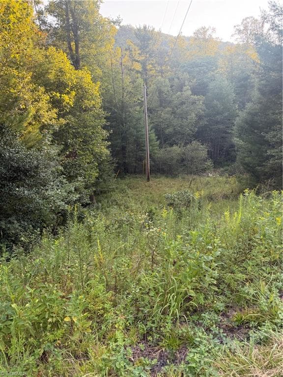 Unimproved Land at 0 W US Highway 421, Purlear NC 28665, photo 5 of 29