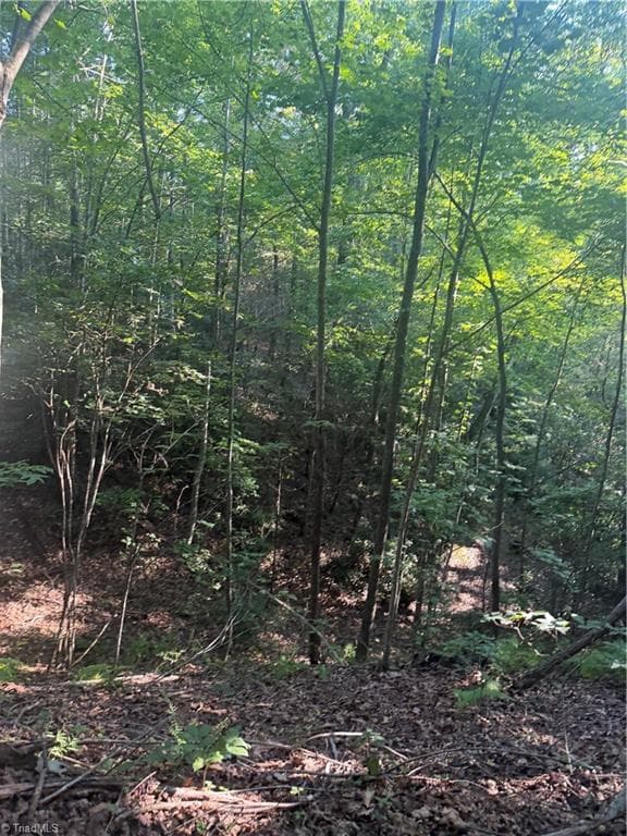 Unimproved Land at 0 W US Highway 421, Purlear NC 28665, photo 20 of 29