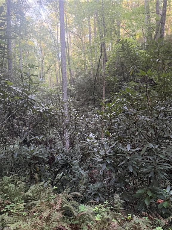 Unimproved Land at 0 W US Highway 421, Purlear NC 28665, photo 9 of 29
