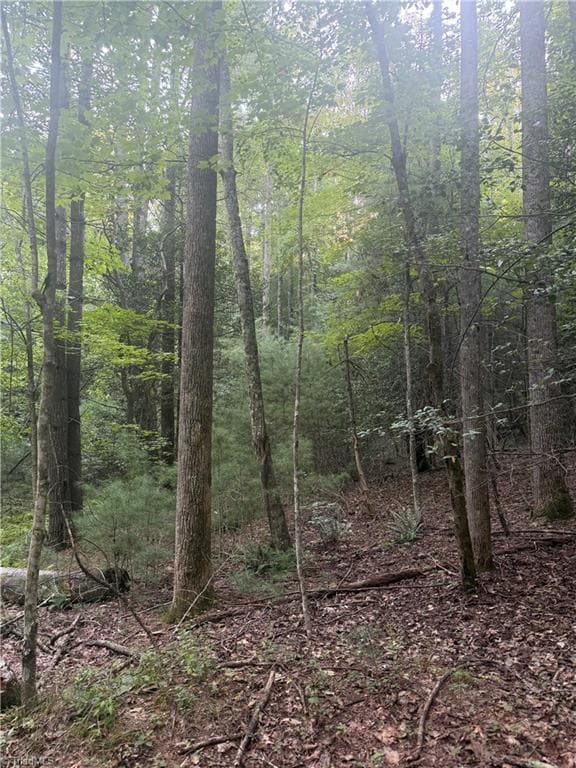 Unimproved Land at 0 W US Highway 421, Purlear NC 28665, photo 24 of 29