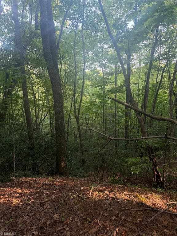 Unimproved Land at 0 W US Highway 421, Purlear NC 28665, photo 14 of 29