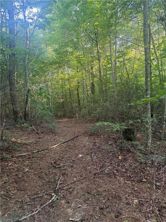 Unimproved Land at 0 W US Highway 421, Purlear NC 28665, photo 15 of 29