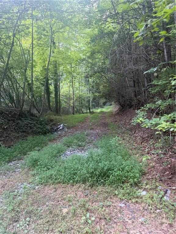 Unimproved Land at 0 W US Highway 421, Purlear NC 28665, photo 11 of 29