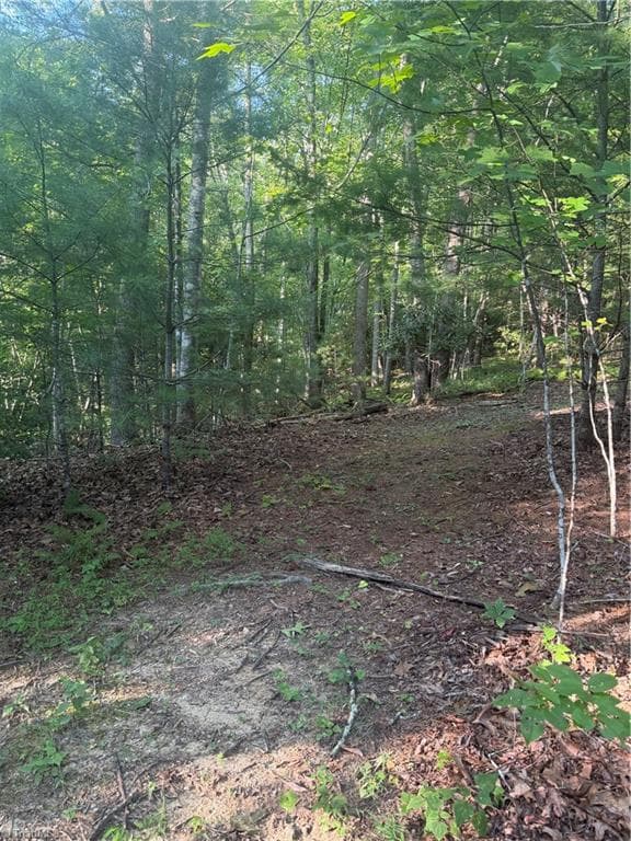 Unimproved Land at 0 W US Highway 421, Purlear NC 28665, photo 19 of 29