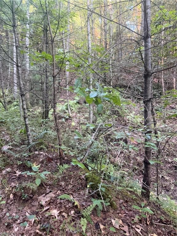 Unimproved Land at 0 W US Highway 421, Purlear NC 28665, photo 29 of 29