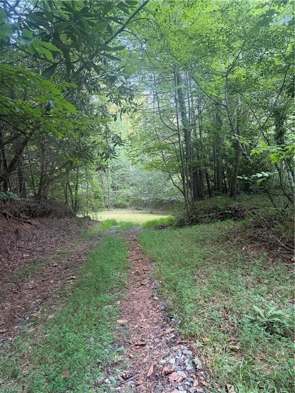 Unimproved Land at 0 W US Highway 421, Purlear NC 28665, photo 8 of 29
