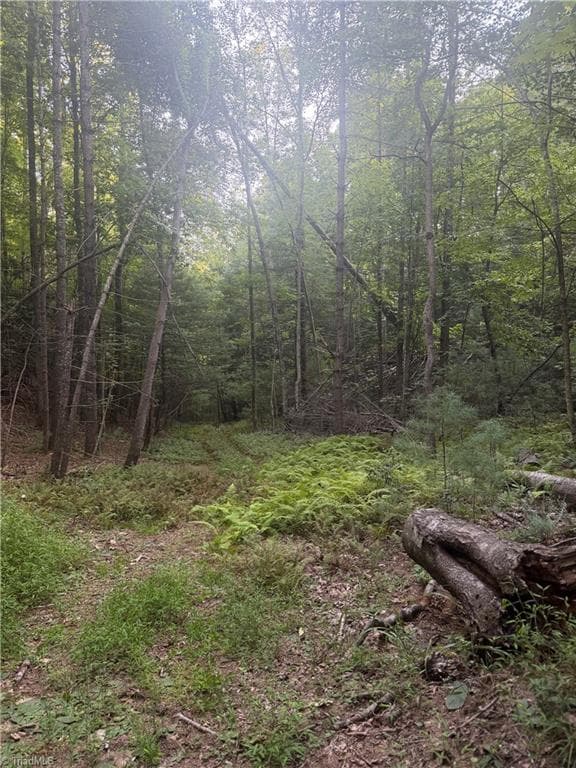 Unimproved Land at 0 W US Highway 421, Purlear NC 28665, photo 25 of 29